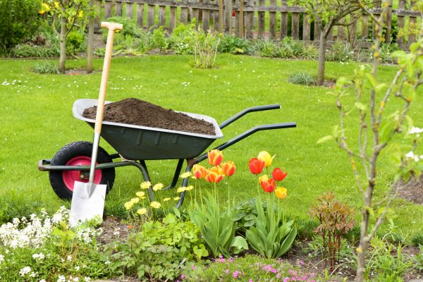 Spring Yard Cleanup in Poulsbo