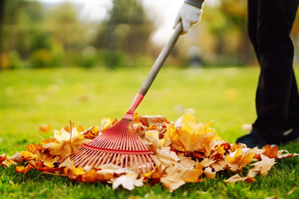 Ditch Leaf Removal in Poulsbo