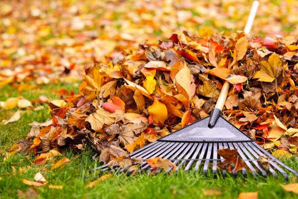 Yard Leaf Removal in Poulsbo