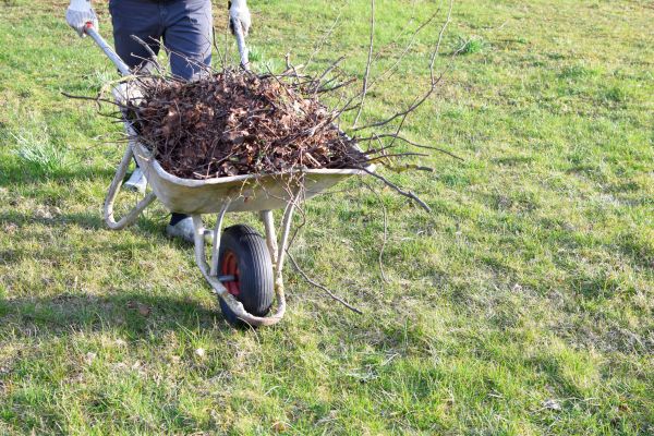 Yard Brush Removal in Poulsbo