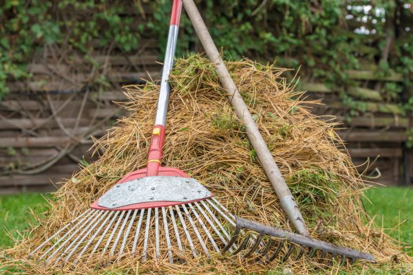 Pine Straw Clearing in Poulsbo
