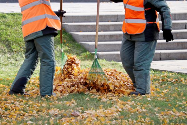 Leaf Hauling Service in Poulsbo