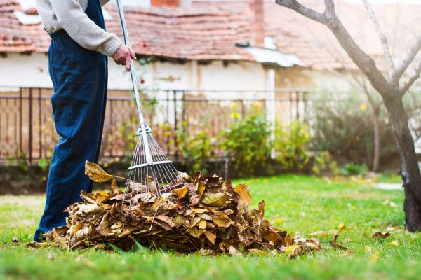 Spring Lawn Cleanup in Poulsbo
