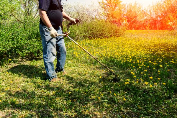 Yard Clearing Service in Poulsbo