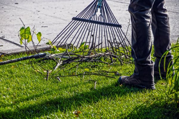 Yard Debris Cleanup in Poulsbo