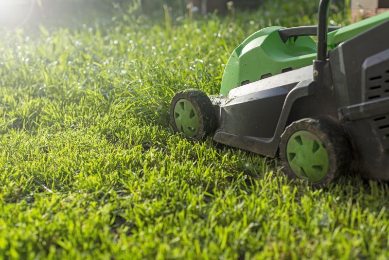 Spring lawn preparation