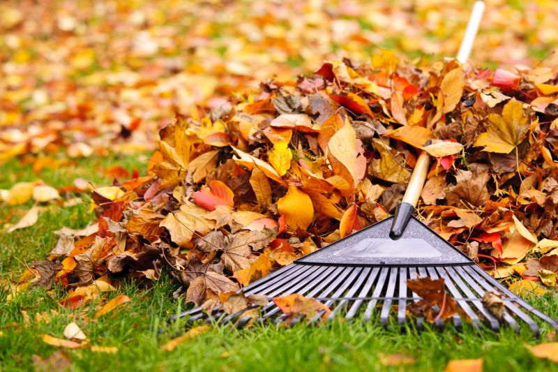 Fall Lawn Clean Up