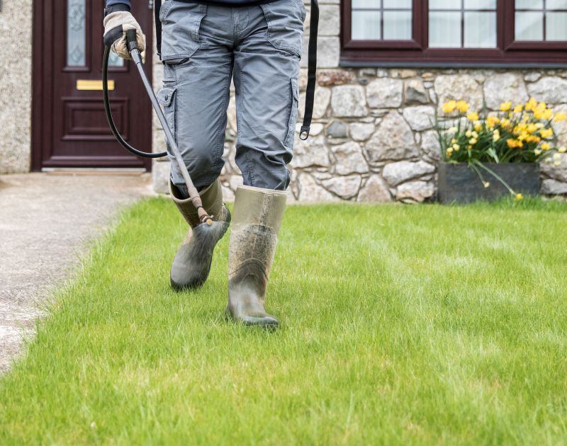 Who Does Lawn Clean Up Service